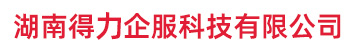 湖南得力企服科技有限公司